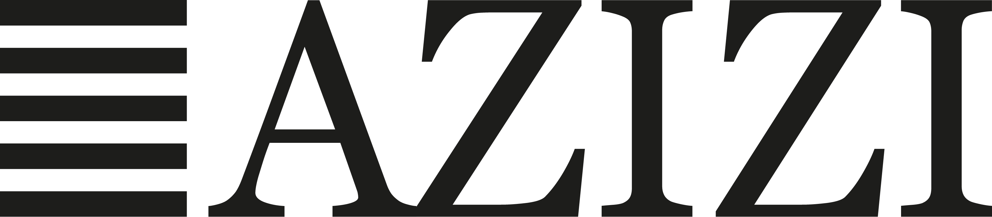 Developer