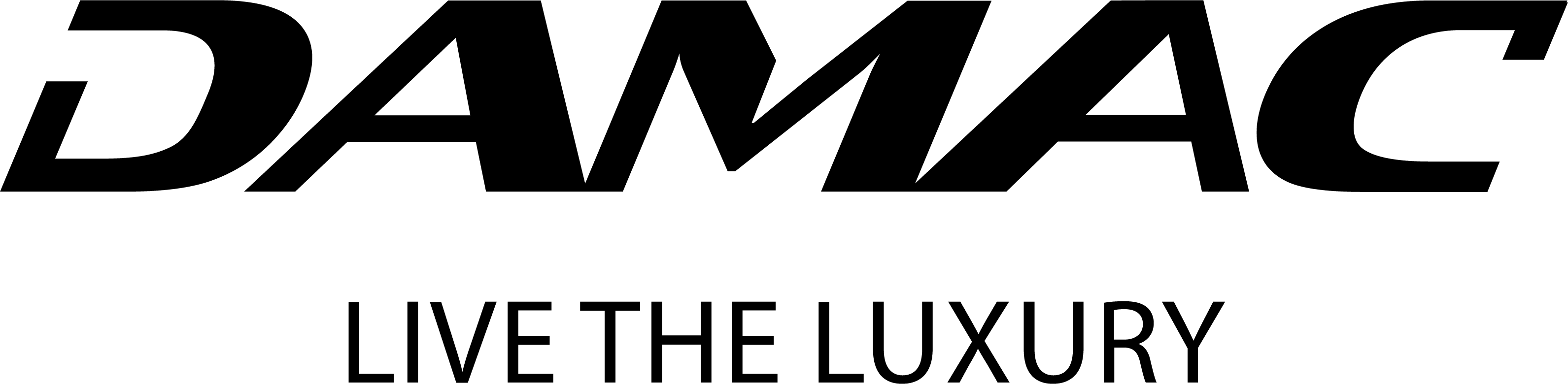 Developer
